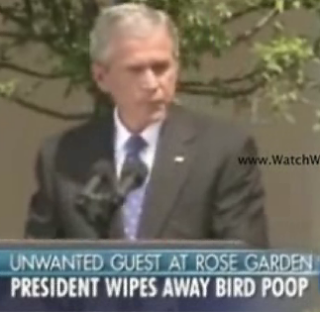 A Fly-By Crapping!